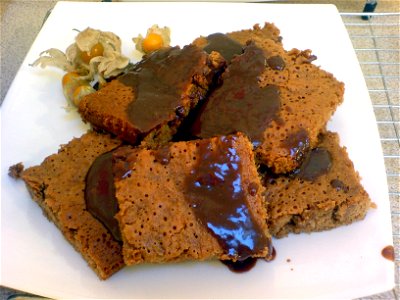 A picture of some milk chocolate brownies that I made accompanied by some dark chocolate sauce and cape gooseberries. photo