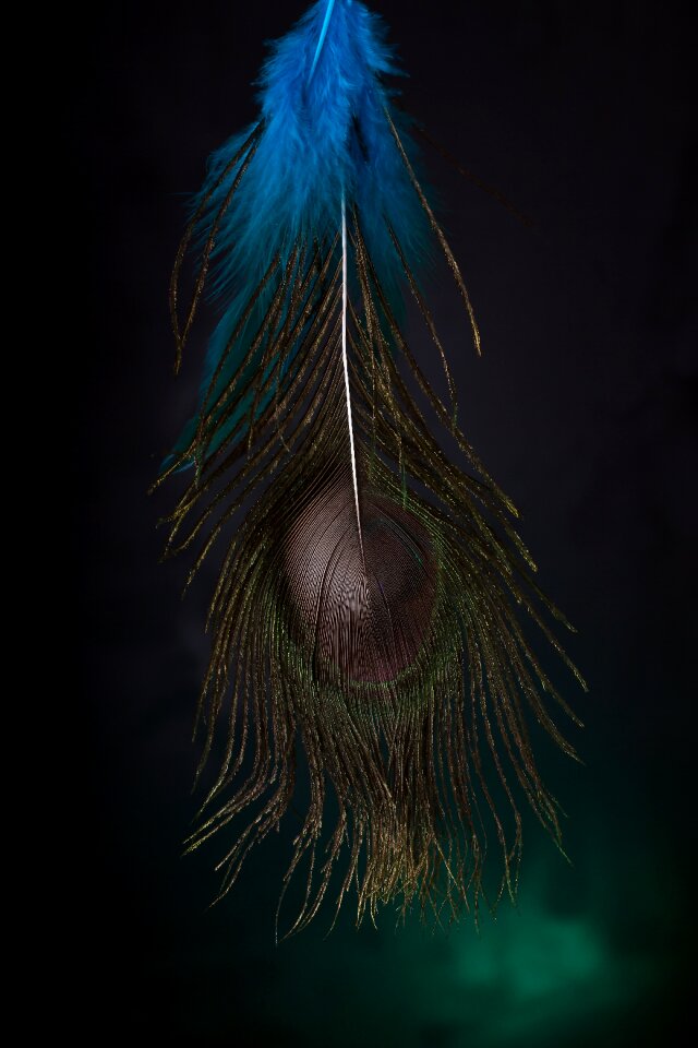 Surreal fantasy mystical
