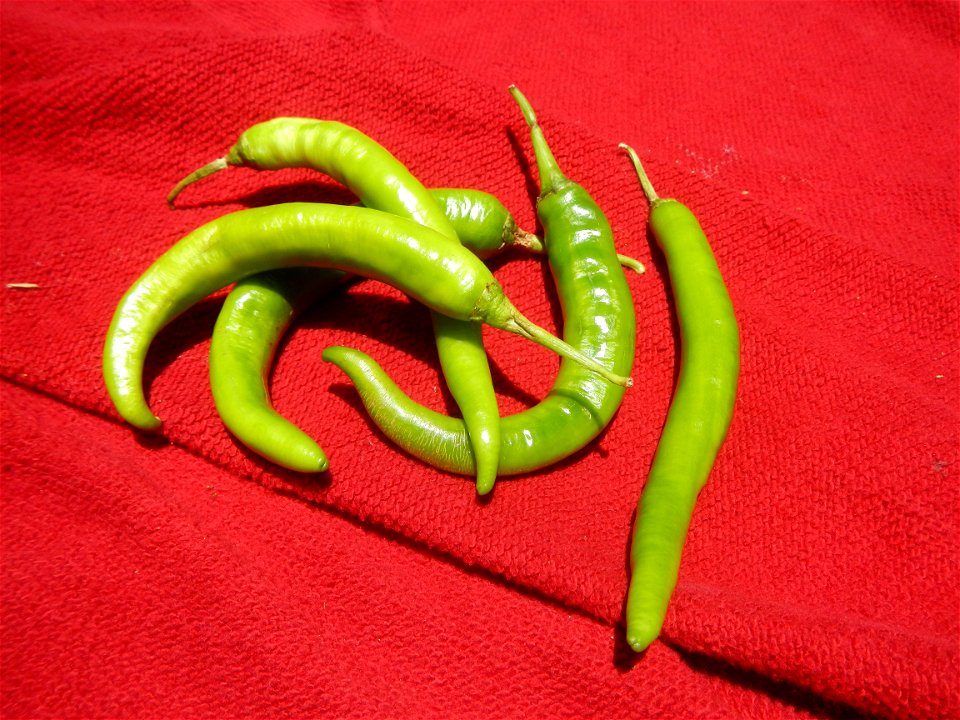 Sinigang na Baboy Nilagang Baboy Patola (Philippines) Capsicum annuum var. longum in the Philippines Siling Mahaba photos taken in Barangay Poblacion 14°57'17"N 120°54'2"E Baliuag, Bulacan, Bulacan pr