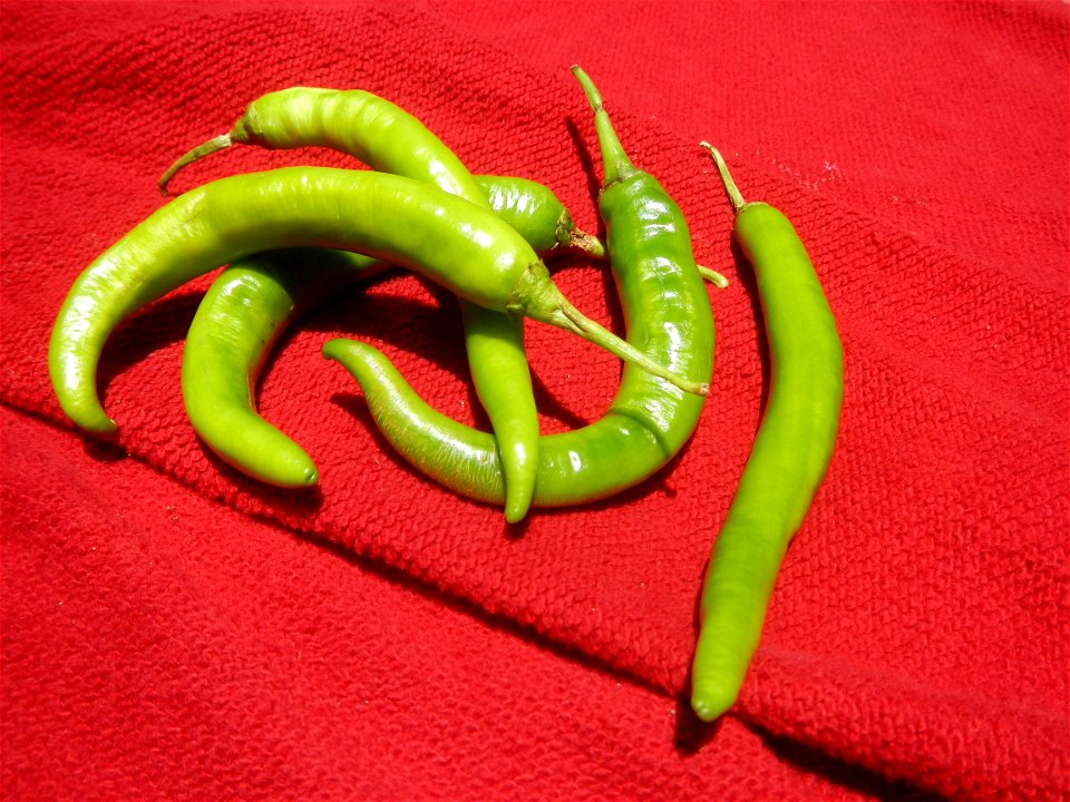 Sinigang na Baboy Nilagang Baboy Patola (Philippines) Capsicum annuum var. longum in the Philippines Siling Mahaba photos taken in Barangay Poblacion 14°57'17"N 120°54'2"E Baliuag, Bulacan, Bulacan pr