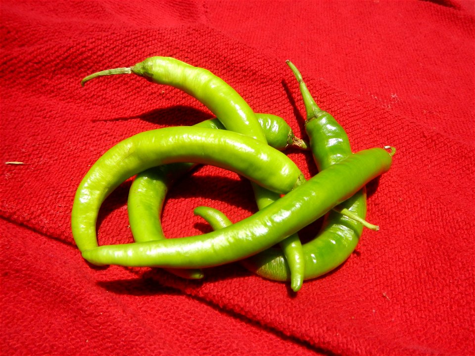 Sinigang na Baboy Nilagang Baboy Patola (Philippines) Capsicum annuum var. longum in the Philippines Siling Mahaba photos taken in Barangay Poblacion 14°57'17"N 120°54'2"E Baliuag, Bulacan, Bulacan pr