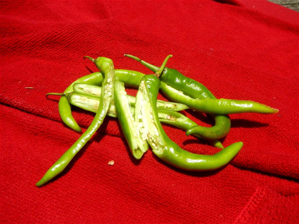 Sinigang na Baboy Nilagang Baboy Patola (Philippines) Capsicum annuum var. longum in the Philippines Siling Mahaba photos taken in Barangay Poblacion 14°57'17"N 120°54'2"E Baliuag, Bulacan, Bulacan pr