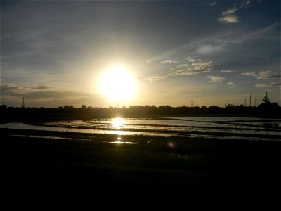 Paddy fields and vegetable (Capsicum annuum var. longum, Okra, Momordica charantia and Vigna unguiculata subsp. sesquipedalis) plantations in Upig - Bagong Barrio, San Ildefonso, Bulacan Barangays Upi