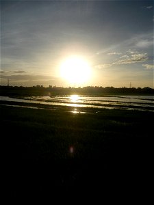 Paddy fields and vegetable (Capsicum annuum var. longum, Okra, Momordica charantia and Vigna unguiculata subsp. sesquipedalis) plantations in Upig - Bagong Barrio, San Ildefonso, Bulacan Barangays Upi