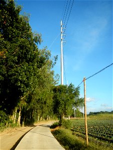 Paddy fields and vegetable (Capsicum annuum var. longum, Okra, Momordica charantia and Vigna unguiculata subsp. sesquipedalis) plantations in Upig - Bagong Barrio, San Ildefonso, Bulacan Barangays Upi