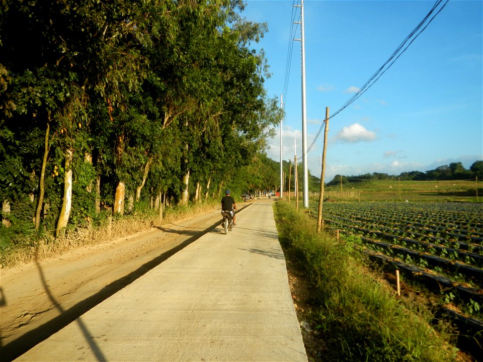 Paddy fields and vegetable (Capsicum annuum var. longum, Okra, Momordica charantia and Vigna unguiculata subsp. sesquipedalis) plantations in Upig - Bagong Barrio, San Ildefonso, Bulacan Barangays Upi