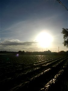 Paddy fields and vegetable (Capsicum annuum var. longum, Okra, Momordica charantia and Vigna unguiculata subsp. sesquipedalis) plantations in Upig - Bagong Barrio, San Ildefonso, Bulacan Barangays Upi