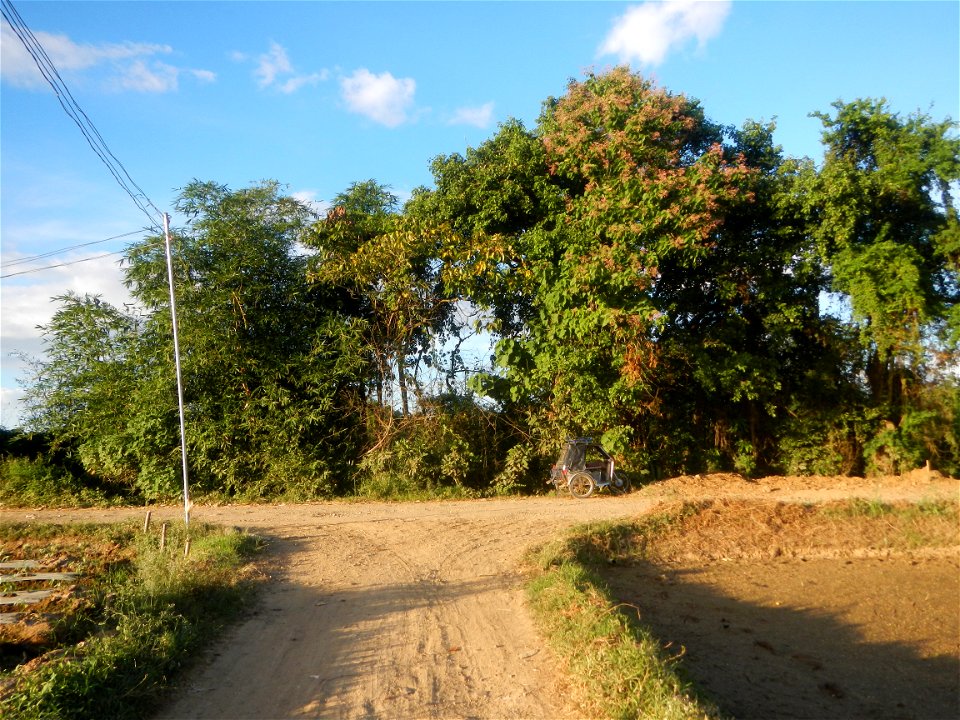 Paddy fields and vegetable (Capsicum annuum var. longum, Okra, Momordica charantia and Vigna unguiculata subsp. sesquipedalis) plantations in Upig - Bagong Barrio, San Ildefonso, Bulacan Barangays Upi