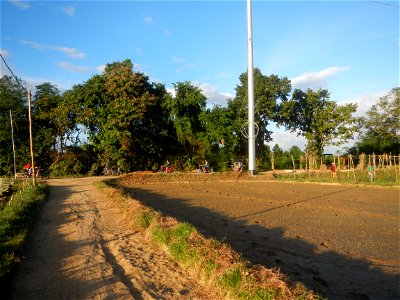 Paddy fields and vegetable (Capsicum annuum var. longum, Okra, Momordica charantia and Vigna unguiculata subsp. sesquipedalis) plantations in Upig - Bagong Barrio, San Ildefonso, Bulacan Barangays Upi