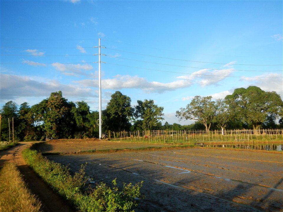 Paddy fields and vegetable (Capsicum annuum var. longum, Okra, Momordica charantia and Vigna unguiculata subsp. sesquipedalis) plantations in Upig - Bagong Barrio, San Ildefonso, Bulacan Barangays Upi