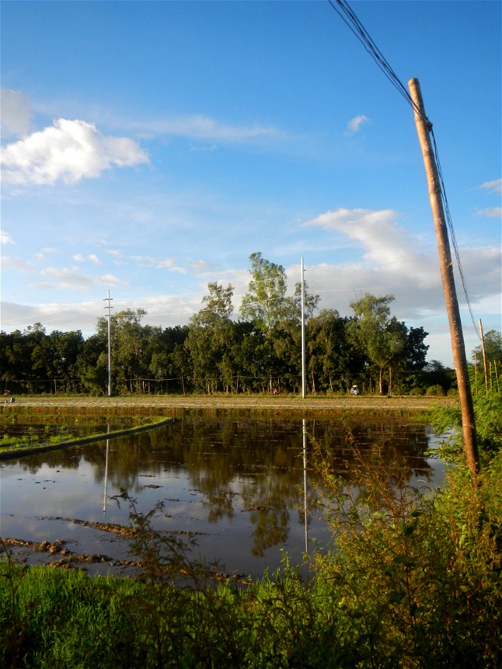 Paddy fields and vegetable (Capsicum annuum var. longum, Okra, Momordica charantia and Vigna unguiculata subsp. sesquipedalis) plantations in Upig - Bagong Barrio, San Ildefonso, Bulacan Barangays Upi