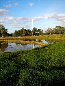 Paddy fields and vegetable (Capsicum annuum var. longum, Okra, Momordica charantia and Vigna unguiculata subsp. sesquipedalis) plantations in Upig - Bagong Barrio, San Ildefonso, Bulacan Barangays Upi