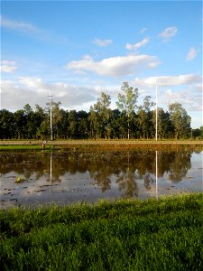 Paddy fields and vegetable (Capsicum annuum var. longum, Okra, Momordica charantia and Vigna unguiculata subsp. sesquipedalis) plantations in Upig - Bagong Barrio, San Ildefonso, Bulacan Barangays Upi