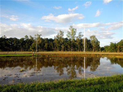 Paddy fields and vegetable (Capsicum annuum var. longum, Okra, Momordica charantia and Vigna unguiculata subsp. sesquipedalis) plantations in Upig - Bagong Barrio, San Ildefonso, Bulacan Barangays Upi