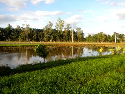 Paddy fields and vegetable (Capsicum annuum var. longum, Okra, Momordica charantia and Vigna unguiculata subsp. sesquipedalis) plantations in Upig - Bagong Barrio, San Ildefonso, Bulacan Barangays Upi