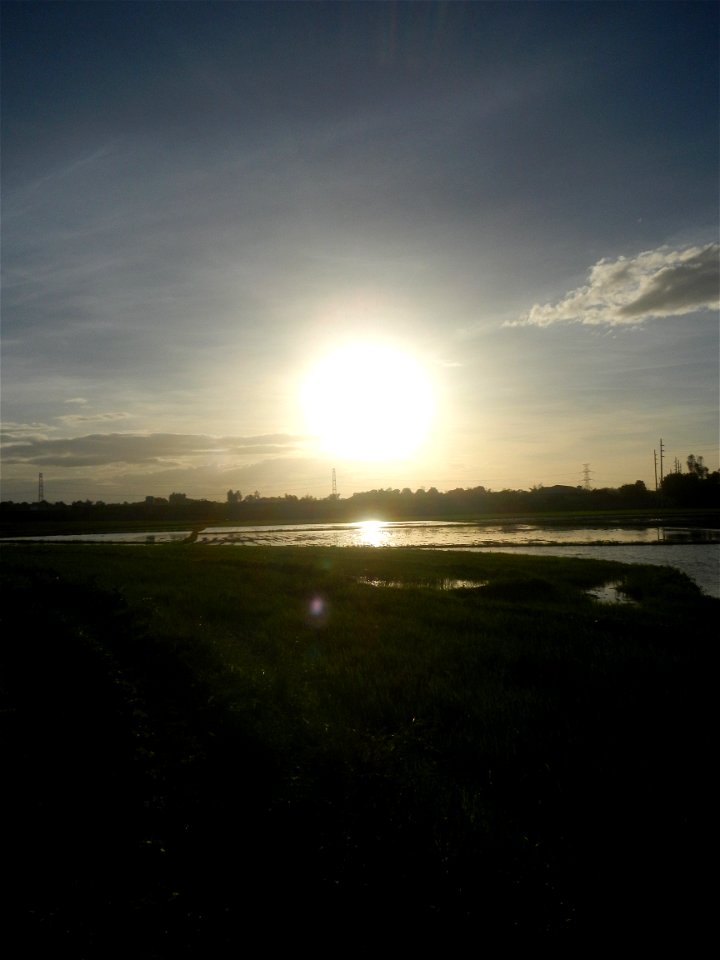 Paddy fields and vegetable (Capsicum annuum var. longum, Okra, Momordica charantia and Vigna unguiculata subsp. sesquipedalis) plantations in Upig - Bagong Barrio, San Ildefonso, Bulacan Barangays Upi
