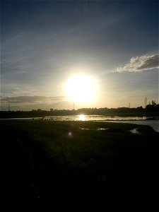 Paddy fields and vegetable (Capsicum annuum var. longum, Okra, Momordica charantia and Vigna unguiculata subsp. sesquipedalis) plantations in Upig - Bagong Barrio, San Ildefonso, Bulacan Barangays Upi