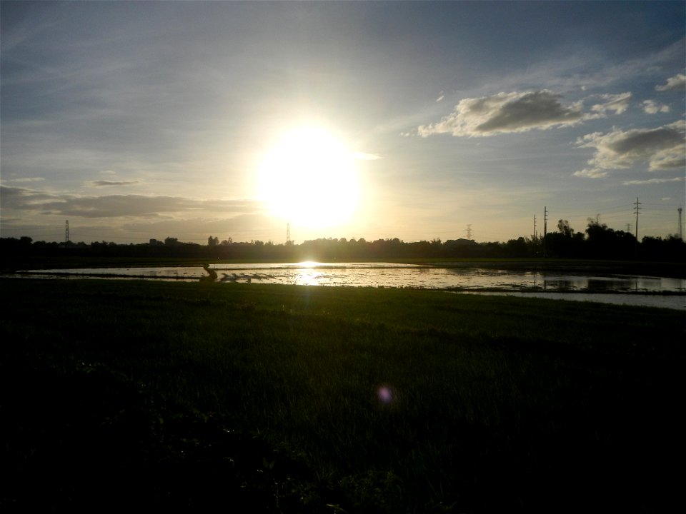 Paddy fields and vegetable (Capsicum annuum var. longum, Okra, Momordica charantia and Vigna unguiculata subsp. sesquipedalis) plantations in Upig - Bagong Barrio, San Ildefonso, Bulacan Barangays Upi