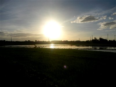 Paddy fields and vegetable (Capsicum annuum var. longum, Okra, Momordica charantia and Vigna unguiculata subsp. sesquipedalis) plantations in Upig - Bagong Barrio, San Ildefonso, Bulacan Barangays Upi