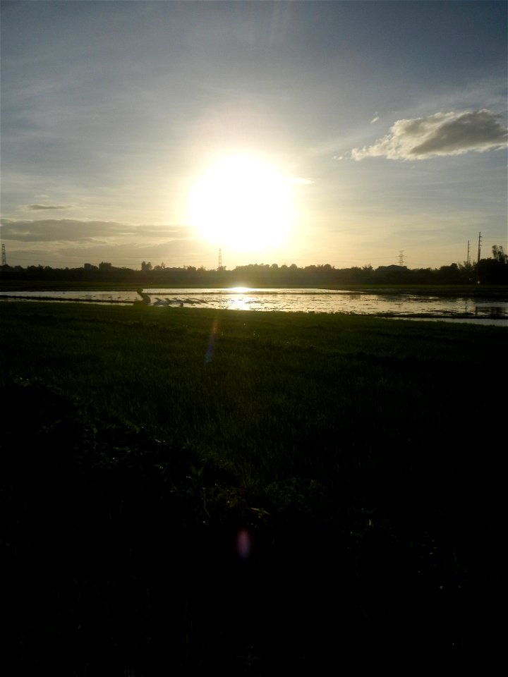 Paddy fields and vegetable (Capsicum annuum var. longum, Okra, Momordica charantia and Vigna unguiculata subsp. sesquipedalis) plantations in Upig - Bagong Barrio, San Ildefonso, Bulacan Barangays Upi