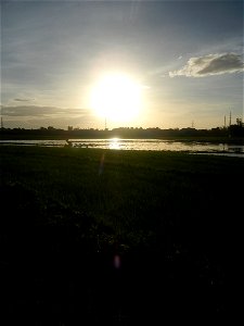 Paddy fields and vegetable (Capsicum annuum var. longum, Okra, Momordica charantia and Vigna unguiculata subsp. sesquipedalis) plantations in Upig - Bagong Barrio, San Ildefonso, Bulacan Barangays Upi