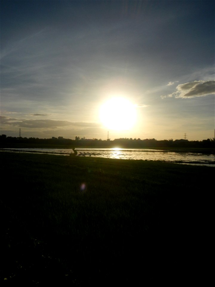 Paddy fields and vegetable (Capsicum annuum var. longum, Okra, Momordica charantia and Vigna unguiculata subsp. sesquipedalis) plantations in Upig - Bagong Barrio, San Ildefonso, Bulacan Barangays Upi