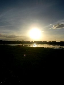 Paddy fields and vegetable (Capsicum annuum var. longum, Okra, Momordica charantia and Vigna unguiculata subsp. sesquipedalis) plantations in Upig - Bagong Barrio, San Ildefonso, Bulacan Barangays Upi