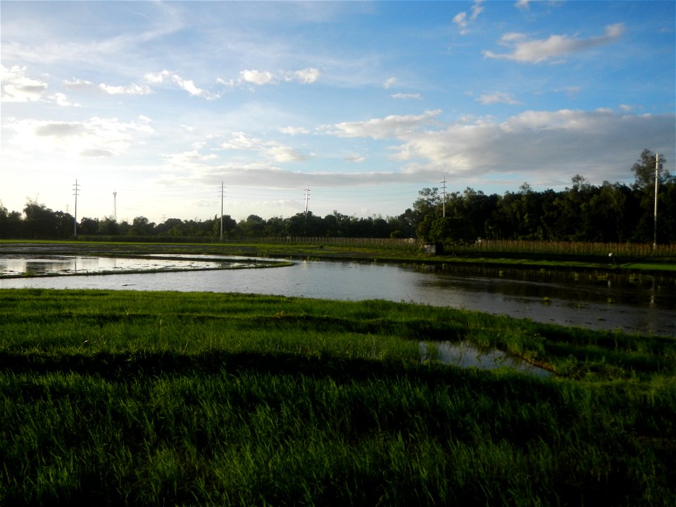Paddy fields and vegetable (Capsicum annuum var. longum, Okra, Momordica charantia and Vigna unguiculata subsp. sesquipedalis) plantations in Upig - Bagong Barrio, San Ildefonso, Bulacan Barangays Upi