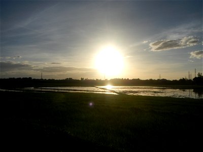 Paddy fields and vegetable (Capsicum annuum var. longum, Okra, Momordica charantia and Vigna unguiculata subsp. sesquipedalis) plantations in Upig - Bagong Barrio, San Ildefonso, Bulacan Barangays Upi