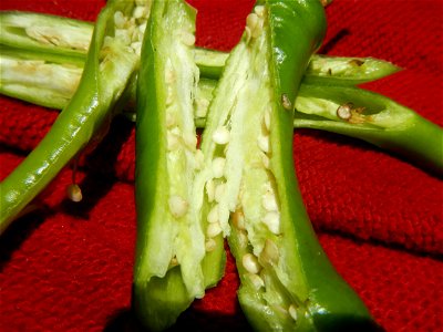 Capsicum annuum var. longum in the Philippines Siling Mahaba Ngangà (Philippines) Buñga (Areca catechu) Philippines Ikmo (Philippines) Areca nut Paan Nga-nga Betel Nut Chewing The Ancient Buzz Buñga o