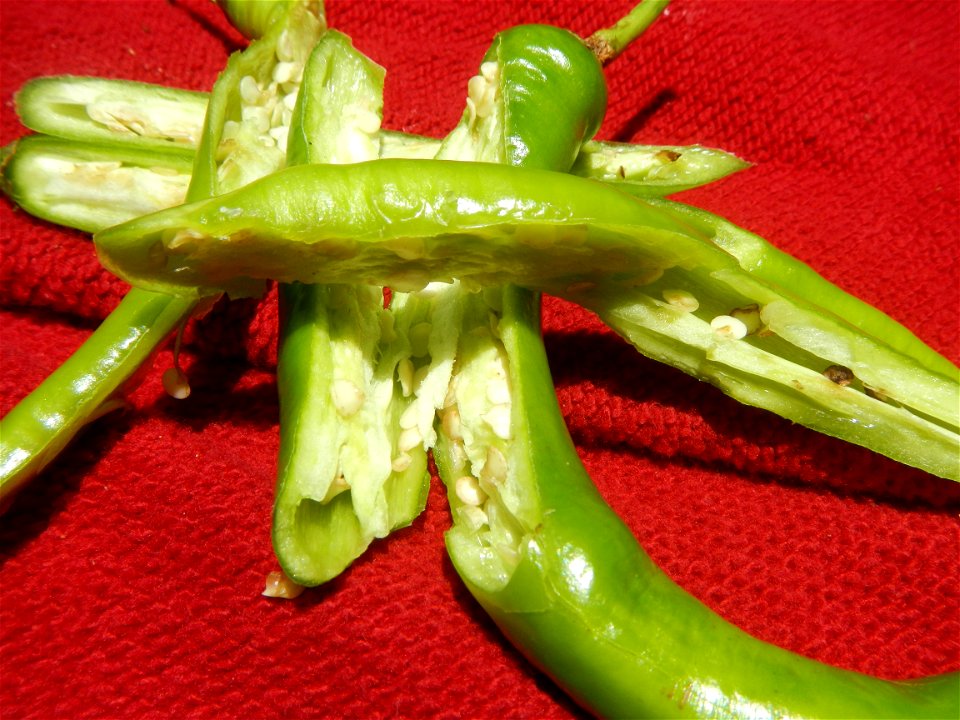 Capsicum annuum var. longum in the Philippines Siling Mahaba Ngangà (Philippines) Buñga (Areca catechu) Philippines Ikmo (Philippines) Areca nut Paan Nga-nga Betel Nut Chewing The Ancient Buzz Buñga o