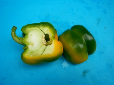 Green-yellow bell peppers Talbos ng Kamote Foods Fruits Baliuag Bulacan Philippines photos taken in Barangay Poblacion 14°57'17"N 120°54'2"E Baliuag, Bulacan, Bulacan province (Note: Judge Florentino 