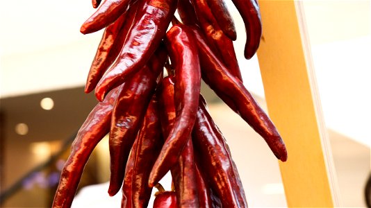 Dried Korean red chillies photo