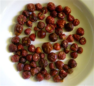Dried dundicut peppers in a bowl. photo