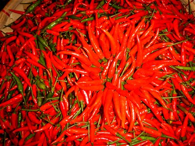 Pepper in the Philippines, Siling labuyo photo