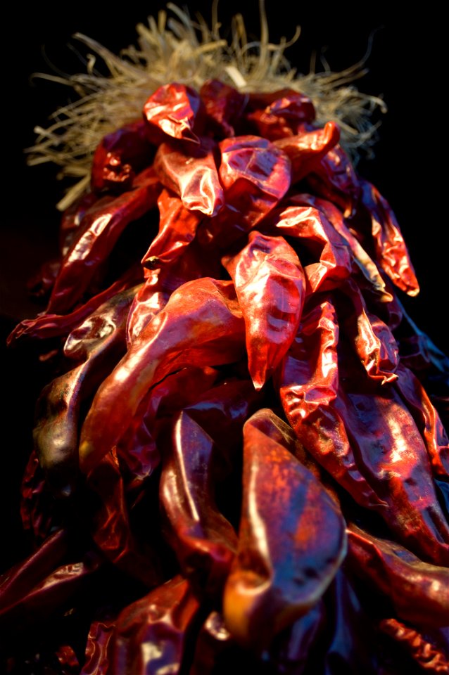 Red chili peppers bound to dry in a ristra.
