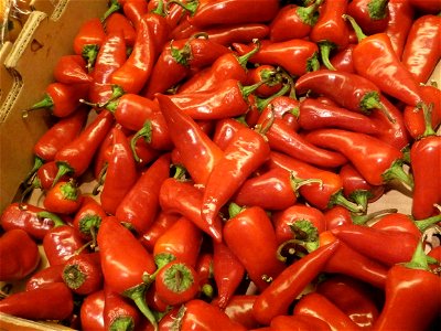 Ripened jalapeños in a box at a grocery store.