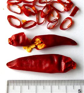 鷹の爪（トウガラシの一種）