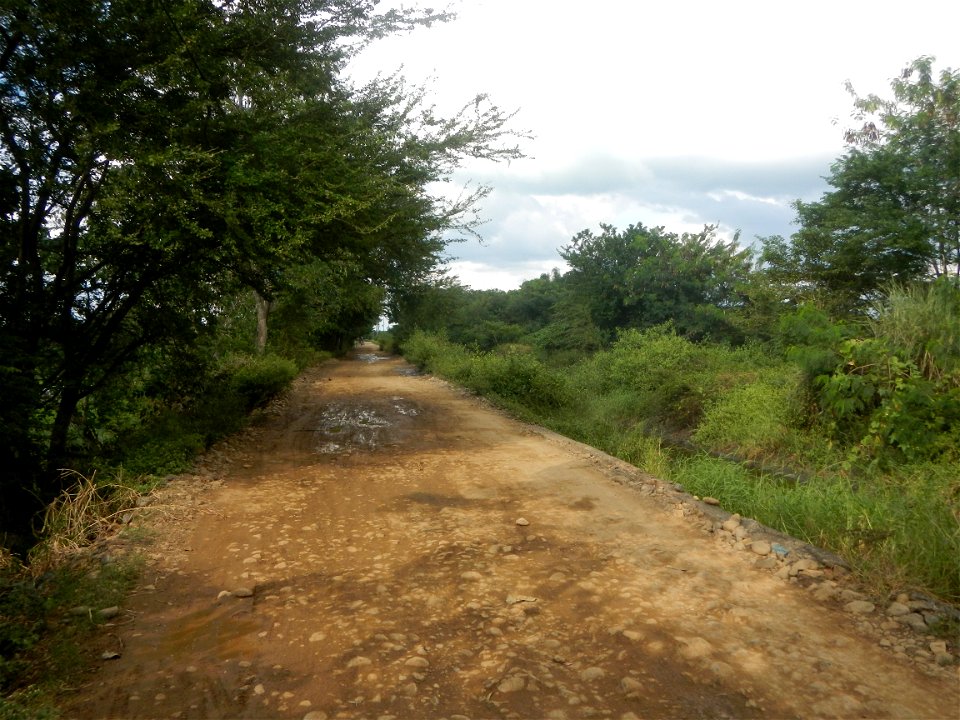 Paddy fields, grasslands, fishponds, irrigation, Kangkung (Ipomoea aquatica) and trees (Lapnit & Calasag, San Ildefonso, Bulacan Farm to Market Road) Barangays  Lapnit 15°4'42"N   120°56'10"E Cala