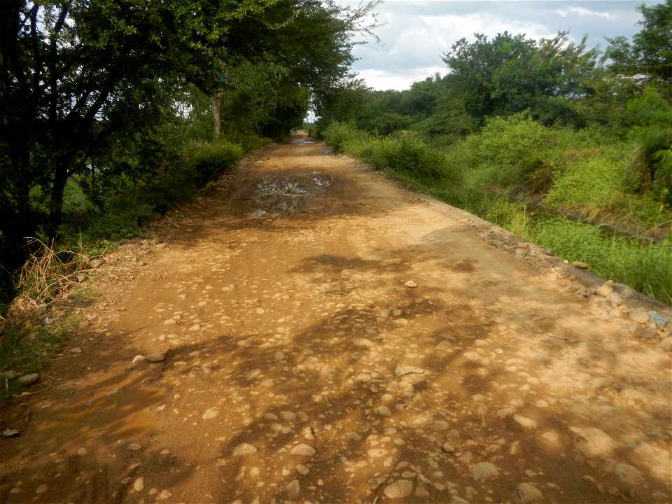 Paddy fields, grasslands, fishponds, irrigation, Kangkung (Ipomoea aquatica) and trees (Lapnit & Calasag, San Ildefonso, Bulacan Farm to Market Road) Barangays  Lapnit 15°4'42"N   120°56'10"E Cala