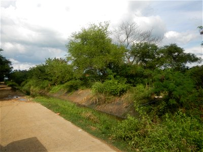 Paddy fields, grasslands, fishponds, irrigation, Kangkung (Ipomoea aquatica) and trees (Lapnit & Calasag, San Ildefonso, Bulacan Farm to Market Road) Barangays  Lapnit 15°4'42"N   120°56'10"E Cala