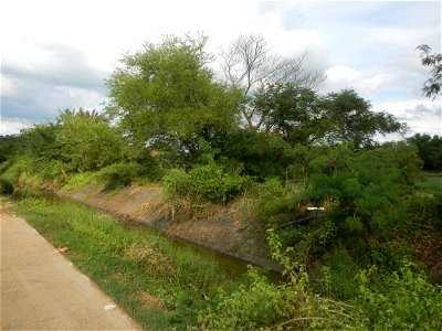 Paddy fields, grasslands, fishponds, irrigation, Kangkung (Ipomoea aquatica) and trees (Lapnit & Calasag, San Ildefonso, Bulacan Farm to Market Road) Barangays  Lapnit 15°4'42"N   120°56'10"E Cala