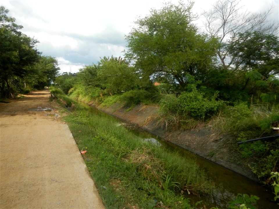 Paddy fields, grasslands, fishponds, irrigation, Kangkung (Ipomoea aquatica) and trees (Lapnit & Calasag, San Ildefonso, Bulacan Farm to Market Road) Barangays  Lapnit 15°4'42"N   120°56'10"E Cala