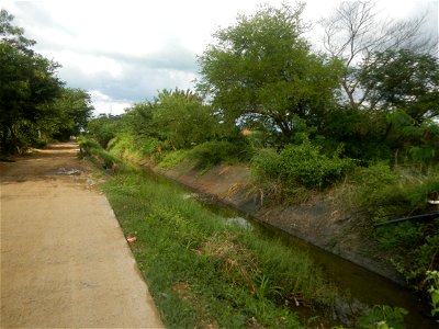 Paddy fields, grasslands, fishponds, irrigation, Kangkung (Ipomoea aquatica) and trees (Lapnit & Calasag, San Ildefonso, Bulacan Farm to Market Road) Barangays  Lapnit 15°4'42"N   120°56'10"E Cala