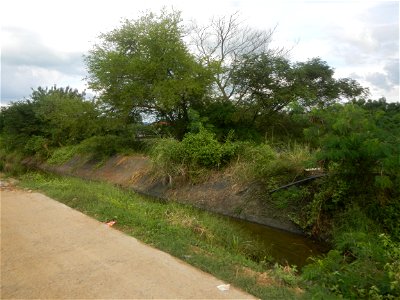 Paddy fields, grasslands, fishponds, irrigation, Kangkung (Ipomoea aquatica) and trees (Lapnit & Calasag, San Ildefonso, Bulacan Farm to Market Road) Barangays  Lapnit 15°4'42"N   120°56'10"E Cala