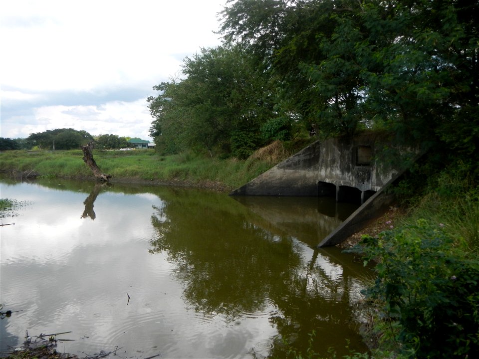 Paddy fields, grasslands, fishponds, irrigation, Kangkung (Ipomoea aquatica) and trees (Lapnit & Calasag, San Ildefonso, Bulacan Farm to Market Road) Barangays  Lapnit 15°4'42"N   120°56'10"E Cala