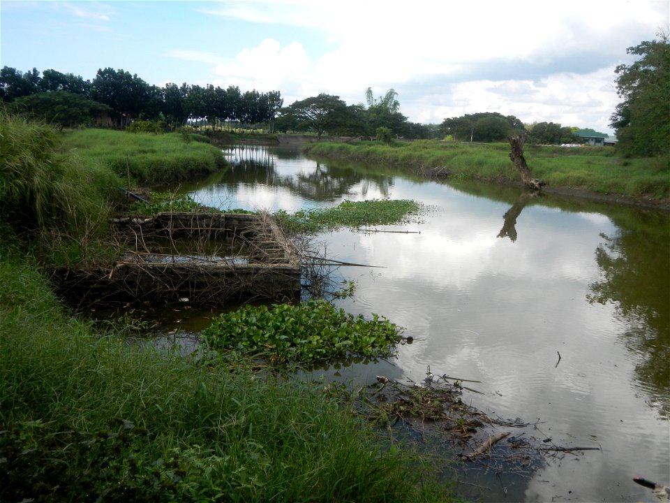 Paddy fields, grasslands, fishponds, irrigation, Kangkung (Ipomoea aquatica) and trees (Lapnit & Calasag, San Ildefonso, Bulacan Farm to Market Road) Barangays  Lapnit 15°4'42"N   120°56'10"E Cala