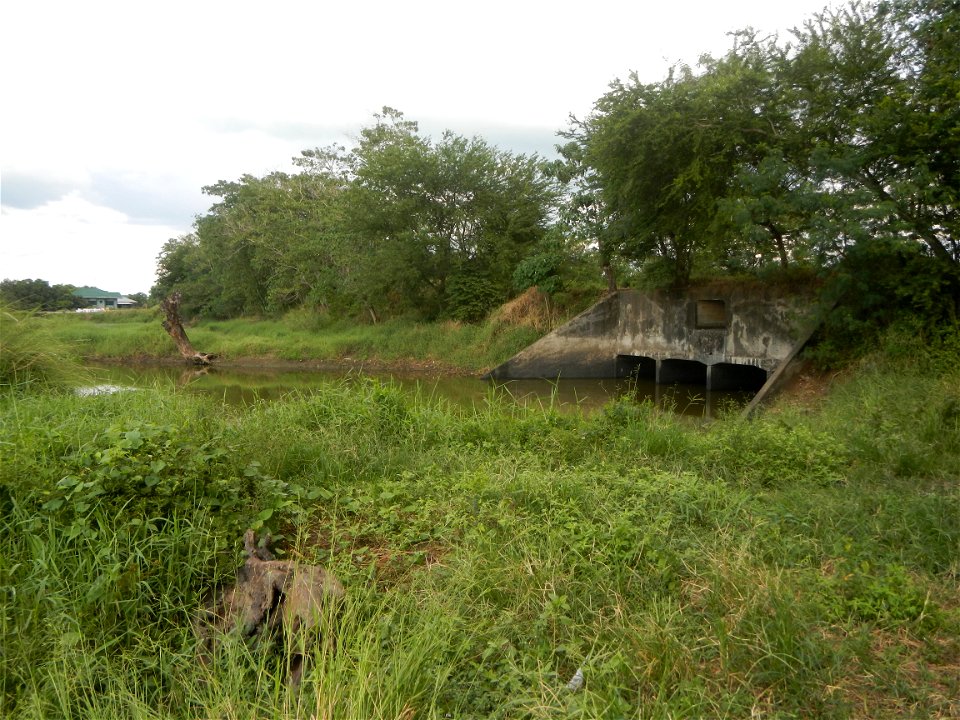 Paddy fields, grasslands, fishponds, irrigation, Kangkung (Ipomoea aquatica) and trees (Lapnit & Calasag, San Ildefonso, Bulacan Farm to Market Road) Barangays  Lapnit 15°4'42"N   120°56'10"E Cala