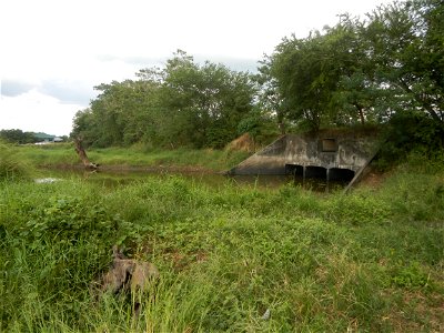 Paddy fields, grasslands, fishponds, irrigation, Kangkung (Ipomoea aquatica) and trees (Lapnit & Calasag, San Ildefonso, Bulacan Farm to Market Road) Barangays  Lapnit 15°4'42"N   120°56'10"E Cala