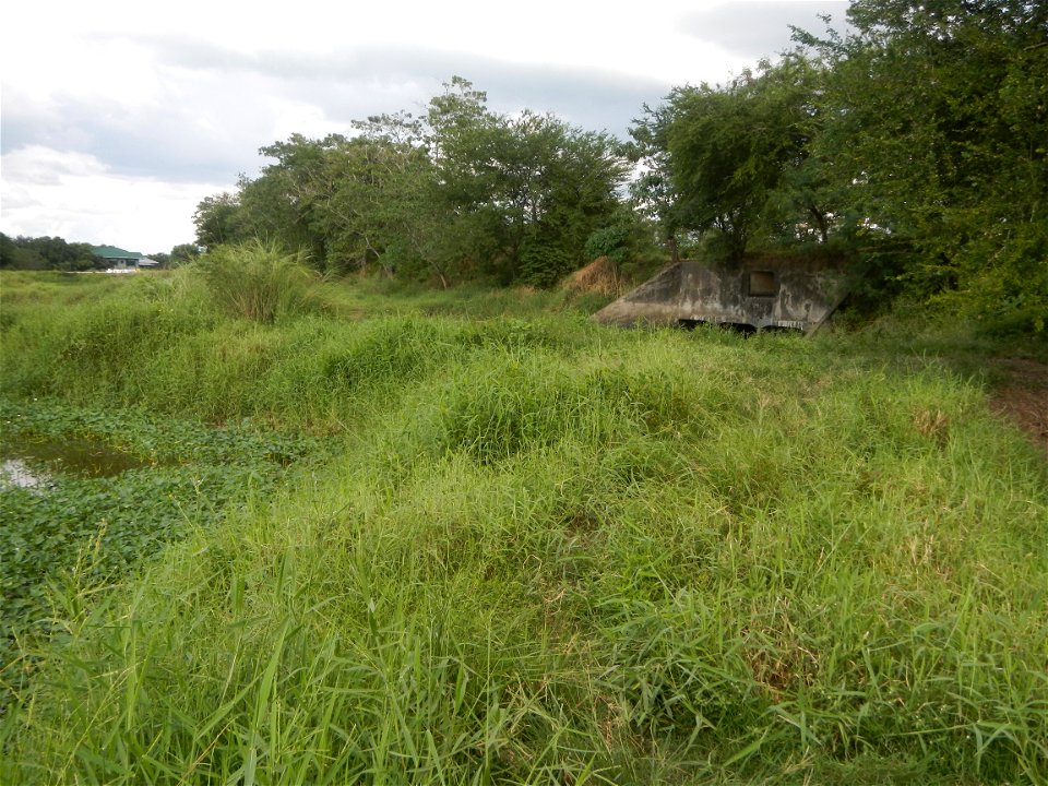Paddy fields, grasslands, fishponds, irrigation, Kangkung (Ipomoea aquatica) and trees (Lapnit & Calasag, San Ildefonso, Bulacan Farm to Market Road) Barangays  Lapnit 15°4'42"N   120°56'10"E Cala